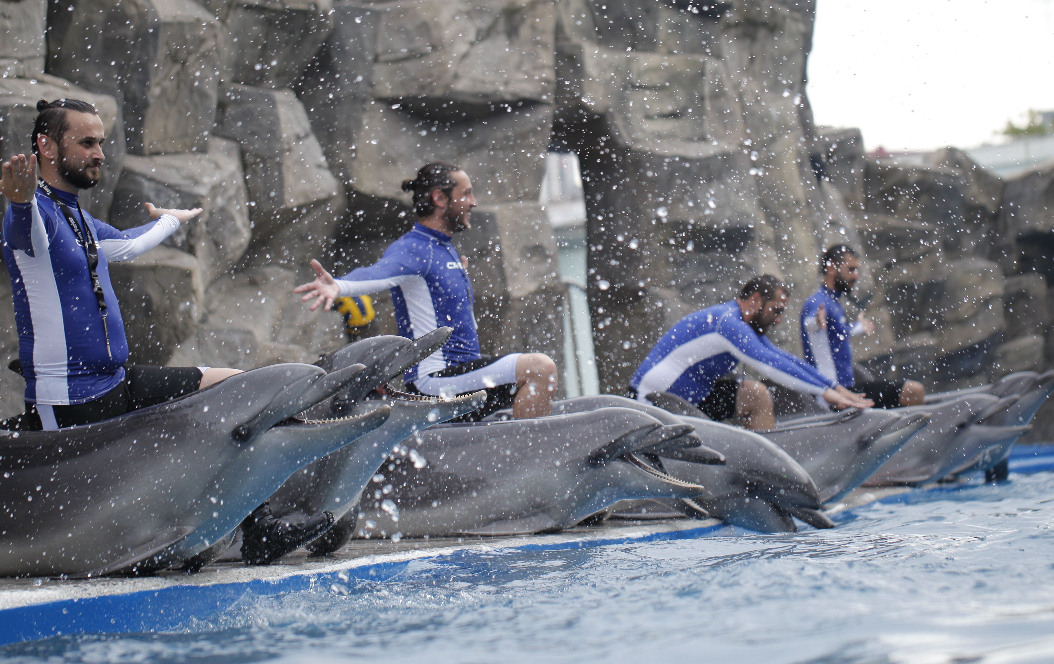 ბათუმის დელფინარიუმი